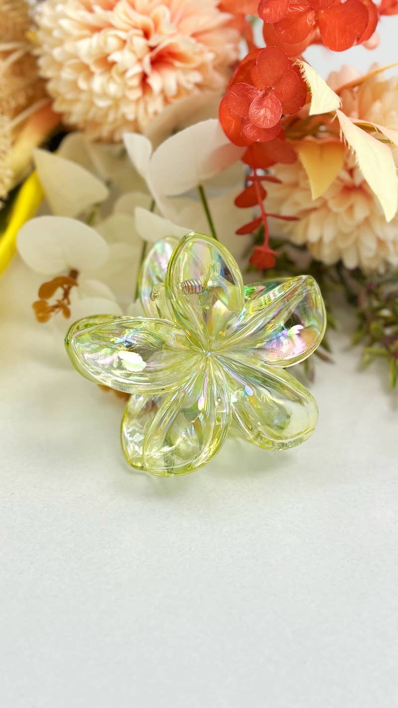 Ziedu sprādze - caurspīdīga